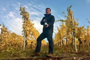 Weingut Arns