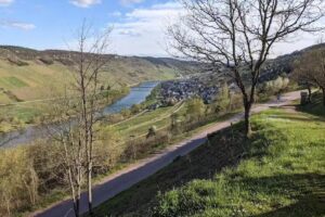 Weingut Barzen