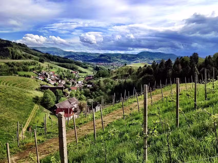Weingut Decker &ndash; Winzerhof