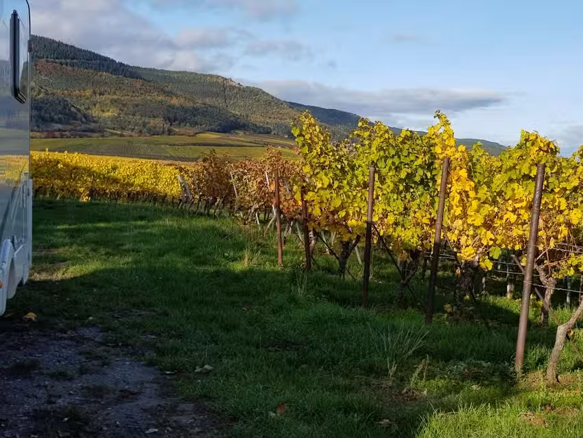 Weingut &ndash; G&auml;stehaus Hermann Eberle