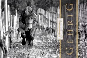 Weingut GEHRIG