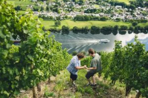 Weingut Hammes