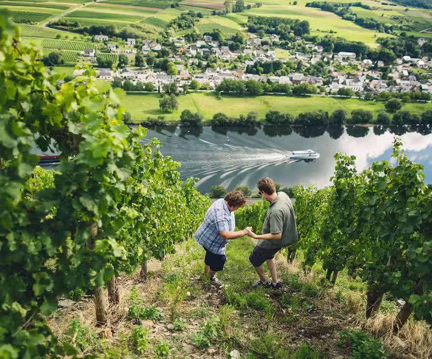 Weingut Hammes