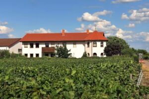 Weingut im Schlossgarten