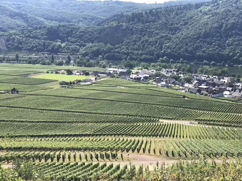Weingut K&ouml;nen-Klaus