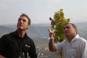 Weingut Mertes M.