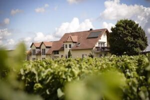 Weingut Otto Becker