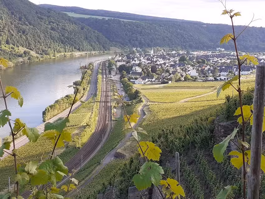 Weingut und G&auml;stezimmer Sturm