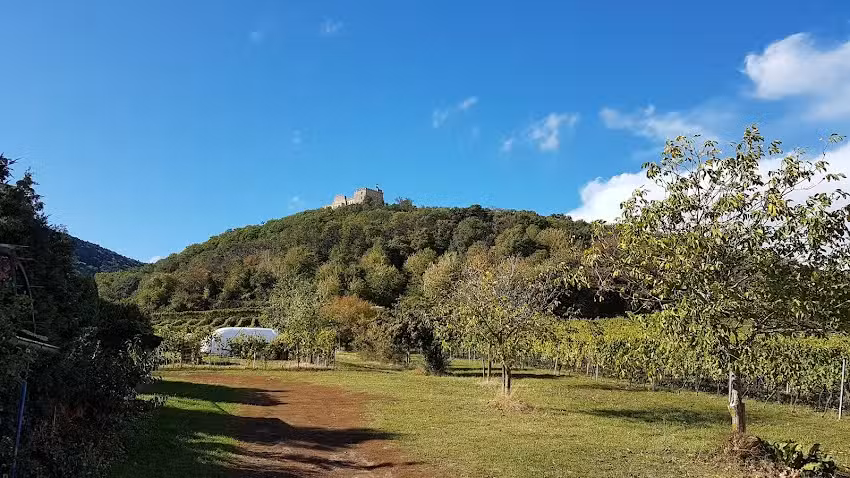 Weinhaus Kruppenbacher