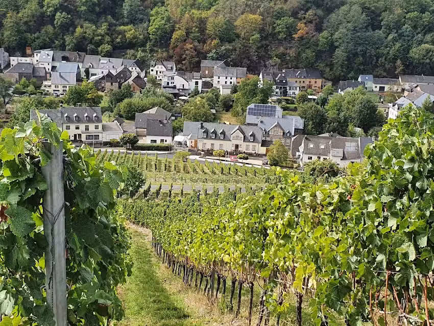 WEINSCHR&Ouml;TERHOF