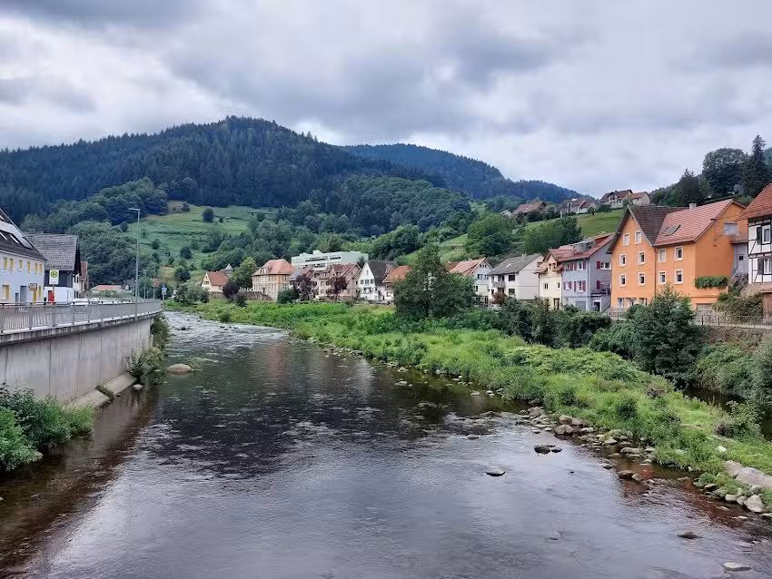 Weisenbach Au