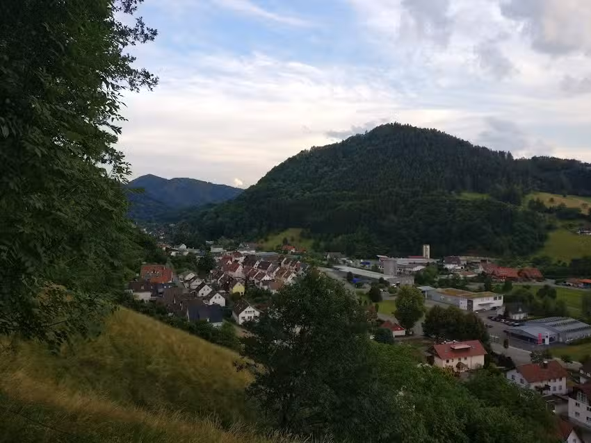 Wei&szlig;, H.