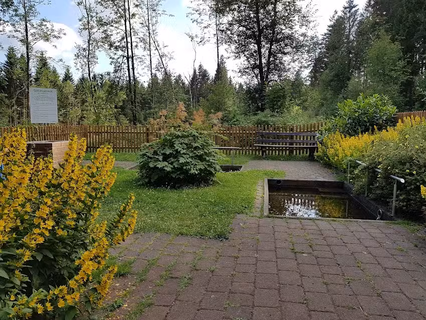 Wellness-in-Hahnenklee