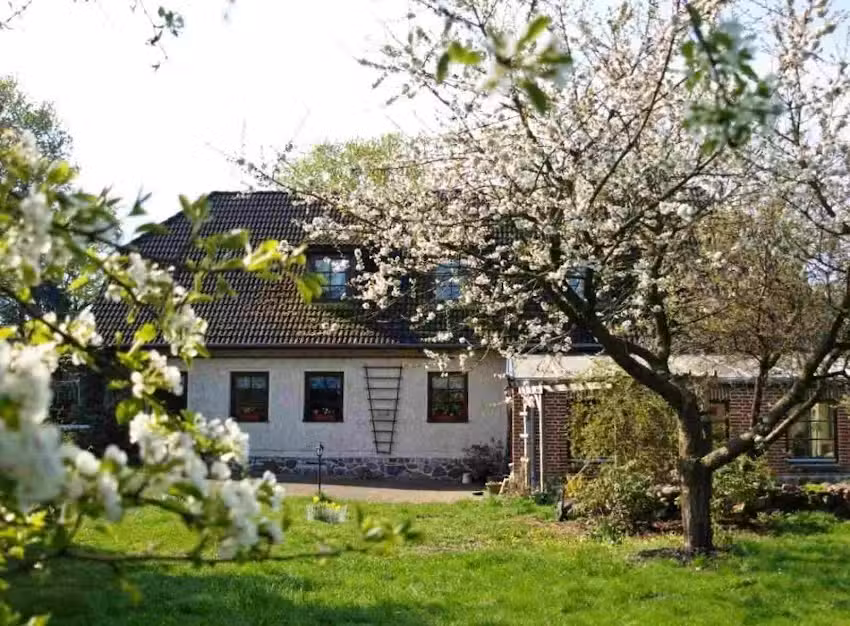 Wilde Wiese Freidorf