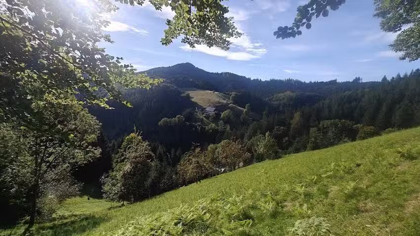 Willkommen im Haus Schafberg