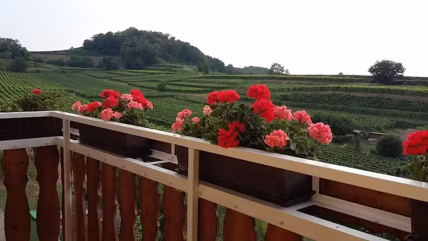 Winzerhof Wirbel