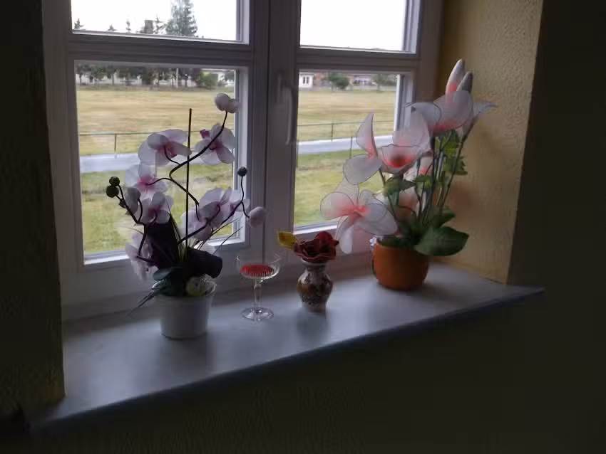 Wischehof Wootz