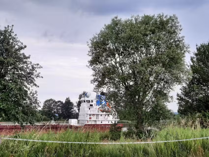 WMS Schachtholm
