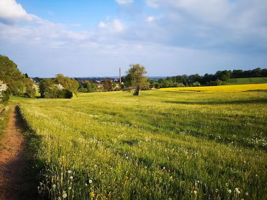 Wohnen in Sachsenberg