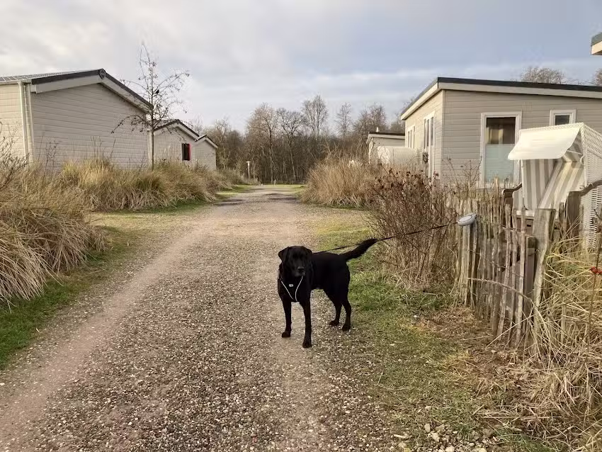 Wohnmobilpark Ostseeblick