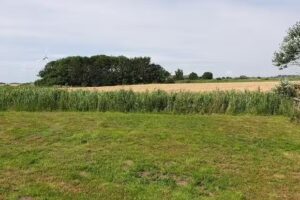 Wohnmobilstellplatz Hemenswarft an der Nordsee