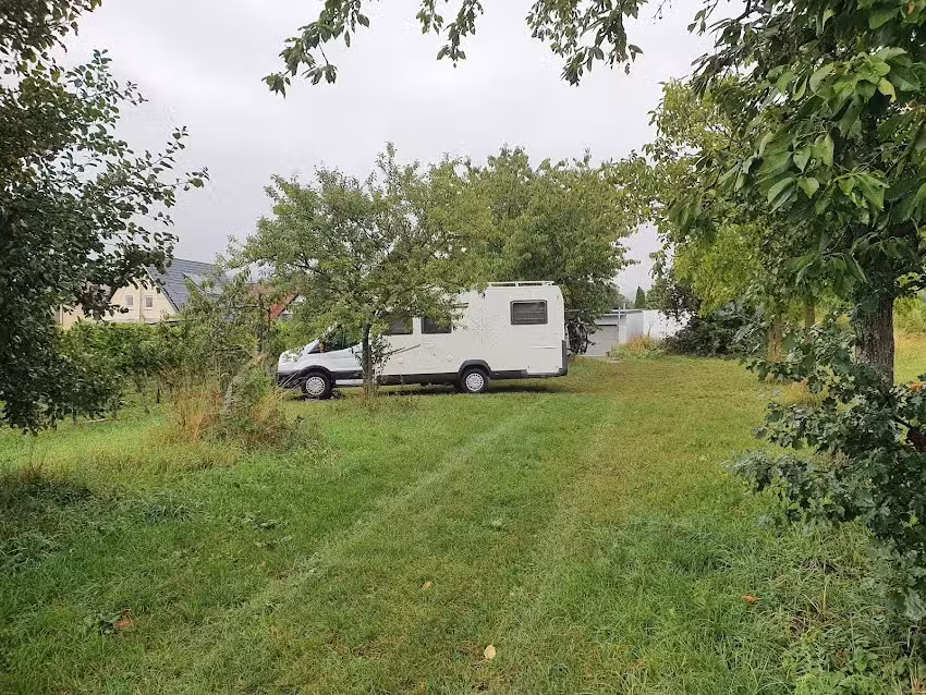 Wohnmobilstellplatz Th&uuml;ngersheim &ndash; AlpacaCamping