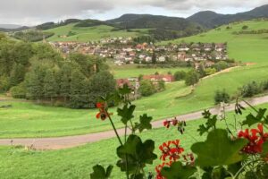 Wohnung mit Charme im Schwarzwald-Bauernhaus