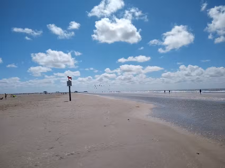 Wohnung Rosengarten 18 A