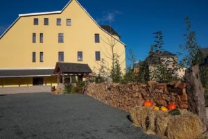 Wurzelrudis Hostel
