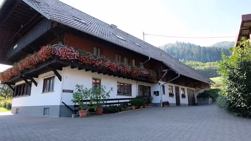 Zimmerbauernhof