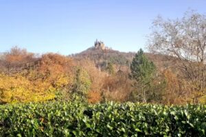 Zollerblick