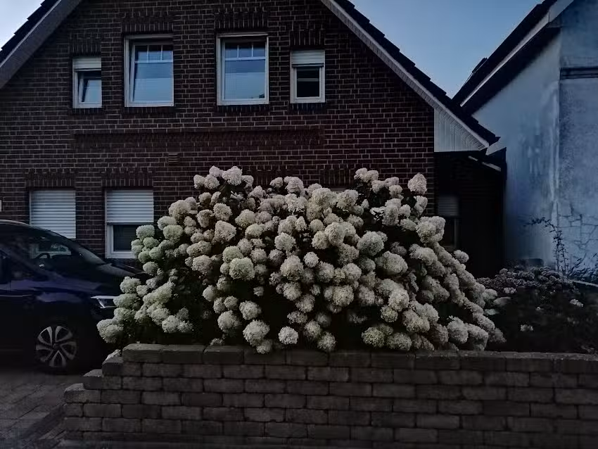 Zum Hanseaten