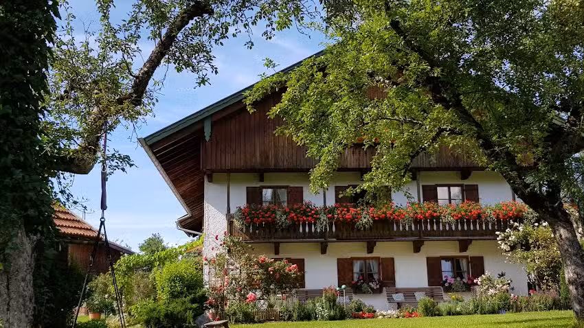 Zum Schwaben